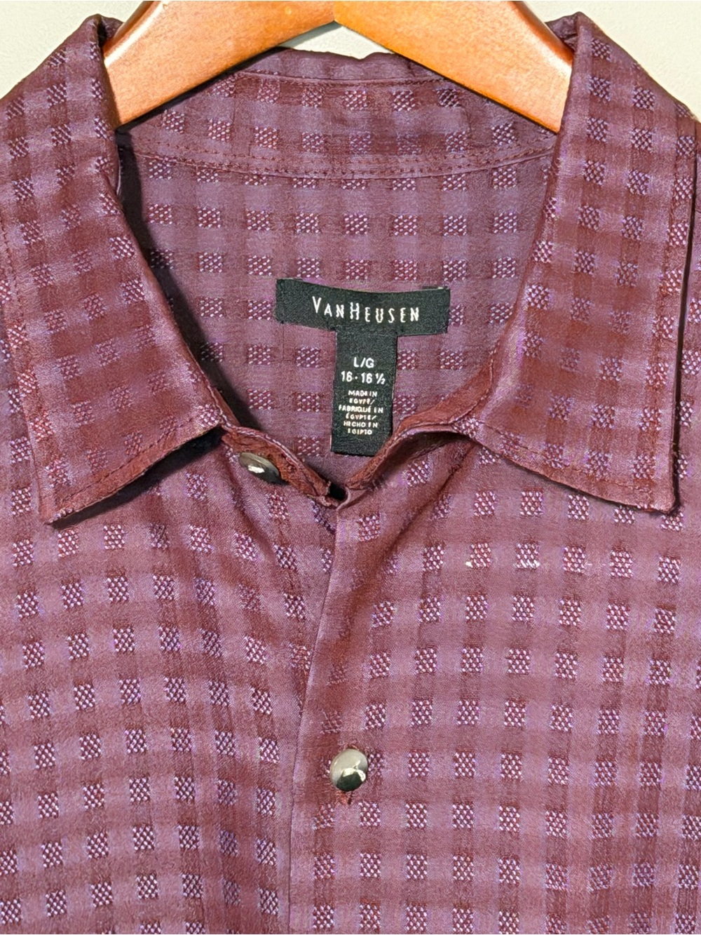 Van Heusen Men's Maroon Checked Island-Inspired Button-Down Shirt